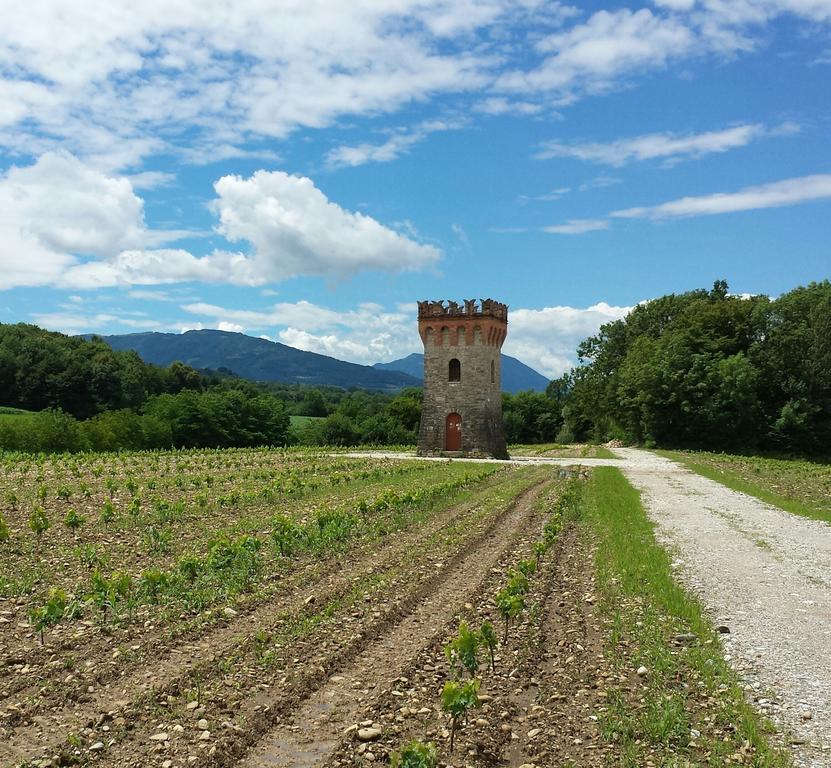 Agriturismo Casteldardo Guest House Trichiana ภายนอก รูปภาพ