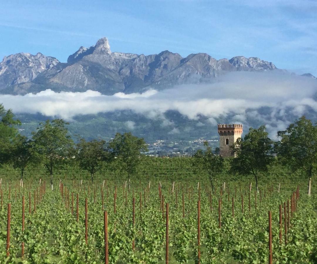 Agriturismo Casteldardo Guest House Trichiana ภายนอก รูปภาพ